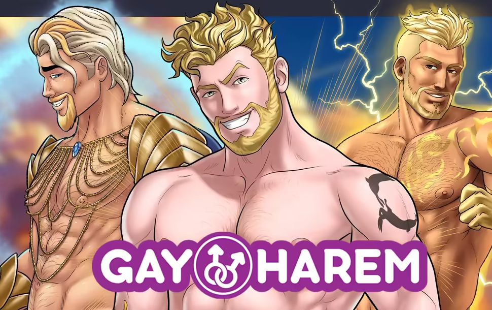 Couverture du jeu Gay Harem