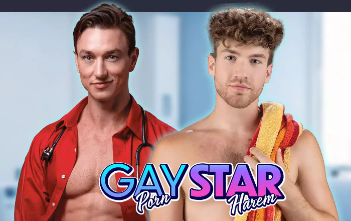 Couverture du jeu Gay Pornstar Harem